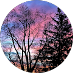 Profile photo of Lisa T