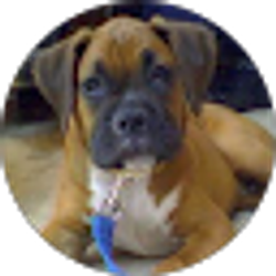 Profile photo of Jayson Jerez
