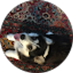 Profile photo of Shug’s Emporium
