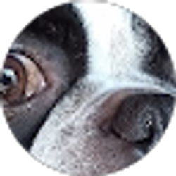 Profile photo of Stephanie Carey
