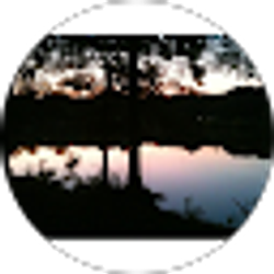 Profile photo of Miracle Lane