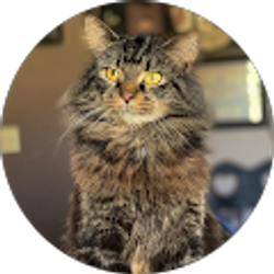 Profile photo of Makayla Dove