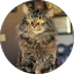 Profile photo of Makayla Dove