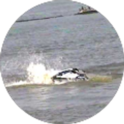 Profile photo of Tim Scott