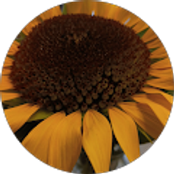 Profile photo of Claudia Perez