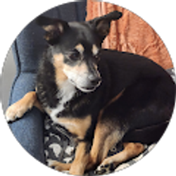 Profile photo of Stephanie Edgison