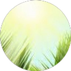 Profile photo of Barbara Howard