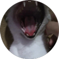 Profile photo of Sammy Vargas