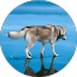Profile photo of mel vazquez