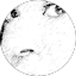 Profile photo of Leslie B