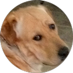 Profile photo of Reynold Philippe