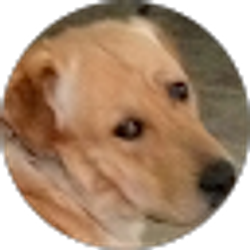 Profile photo of Reynold Philippe