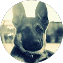 Profile photo of Chrisleys Huerta