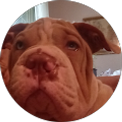 Profile photo of Sandra m Jones