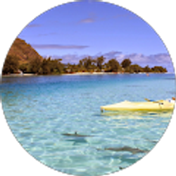 Profile photo of zounds33