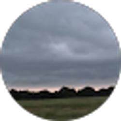 Profile photo of Anna Mcpherson