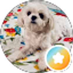 Profile photo of Debbie Smith-Mallery