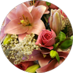 Profile photo of Delilah Smith