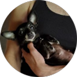 Profile photo of Con Led