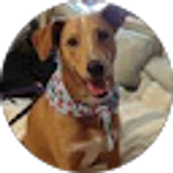 Profile photo of Kara Regan
