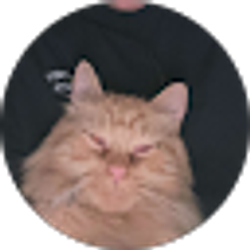 Profile photo of Haley Dawg