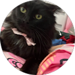 Profile photo of Nisa O