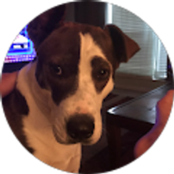 Profile photo of Jeffrie Panzer