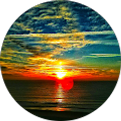 Profile photo of Ronak Vora