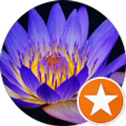 Profile photo of K P (Kristina)