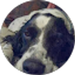 Profile photo of Daniel Benedict