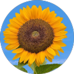 Profile photo of ML Hilton (Seller)