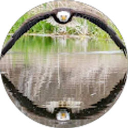 Profile photo of Becca Stout