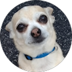 Profile photo of Tanman