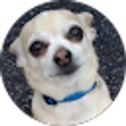 Profile photo of Tanman