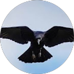 Profile photo of Steve Markiewicz