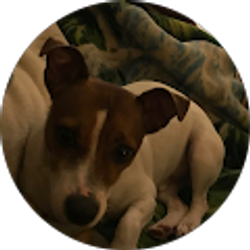 Profile photo of sherry f