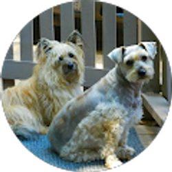 Profile photo of Brenda Hofer