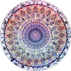 Profile photo of Kaylyne Lee