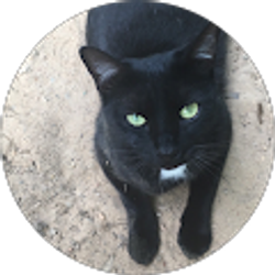 Profile photo of Lydia Raine