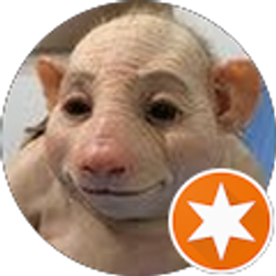 Profile photo of Joachim Hackenbroch