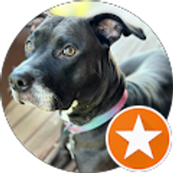 Profile photo of Laura Carr