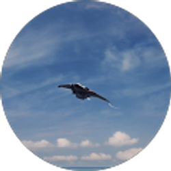 Profile photo of HAIWEI ZHAI