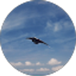 Profile photo of HAIWEI ZHAI