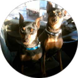 Profile photo of Ellen Anderson