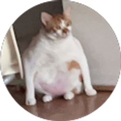 Profile photo of Byron gc