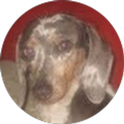 Profile photo of Grrretl