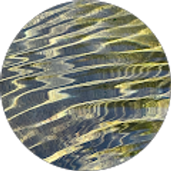 Profile photo of Angus Mudge