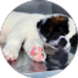 Profile photo of Camille Joyce