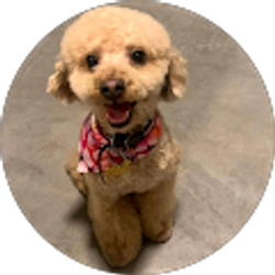 Profile photo of Alex Forston