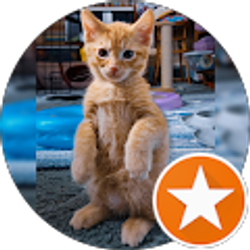 Profile photo of Christopher Newhall